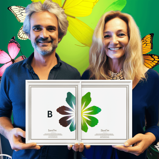 Curso de Programação PHP MVC e Programa de Controle de Estoque - IBRATH Instituto Brasileiro de Terapias Holísticas teste031020231005