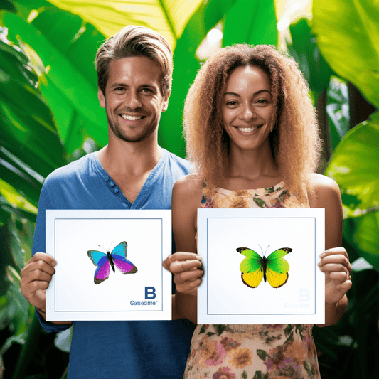 Curso de Introdução à Programação com a linguagem Ruby - IBRATH Instituto Brasileiro de Terapias Holísticas teste031020231005