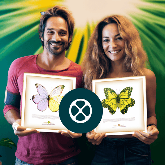 Curso de Desbloqueando a gramática inglesa - IBRATH Instituto Brasileiro de Terapias Holísticas teste031020231005