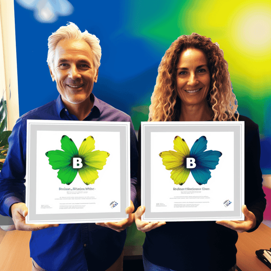 Curso de Introdução à norma ISO 9001 2015 em linguagem simples - IBRATH Instituto Brasileiro de Terapias Holísticas teste031020231005