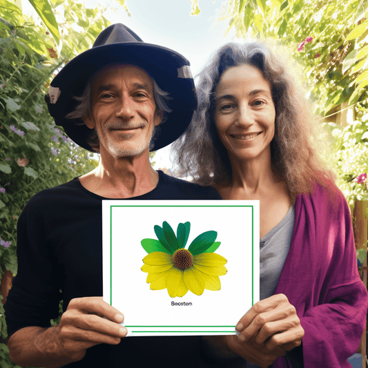 Curso de Introdução ao Design de Voz com a Alexa da Amazon - IBRATH Instituto Brasileiro de Terapias Holísticas teste031020231005