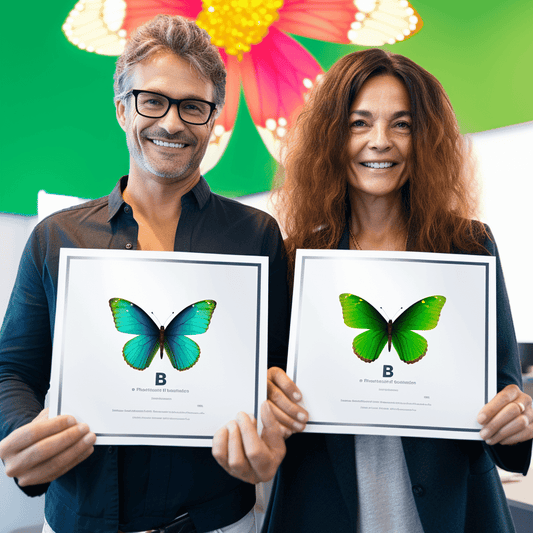 Curso de Crie um negócio de mineração de criptomoedas para iniciantes! - IBRATH Instituto Brasileiro de Terapias Holísticas teste031020231005