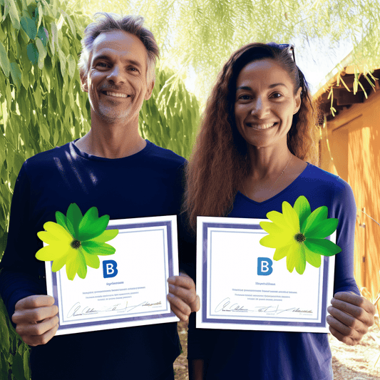 Curso de Elimine o desperdício através da implementação dos 5S - IBRATH Instituto Brasileiro de Terapias Holísticas teste031020231007