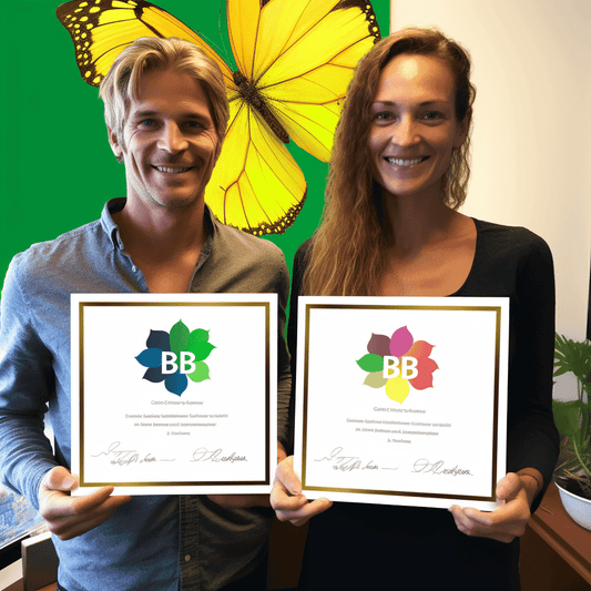 Curso de Melhor Tráfego de Website 2023: SEO, Facebook Ads e Google Ads - IBRATH Instituto Brasileiro de Terapias Holísticas teste031020231005