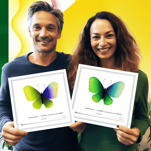 Curso de Habilidades de Apresentação: Faça Palestras Mais Poderosas e Memoráveis - IBRATH Instituto Brasileiro de Terapias Holísticas teste031020231005