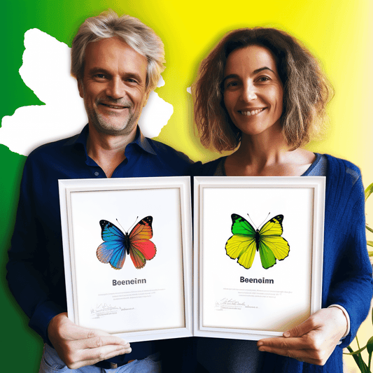 Curso de Envie Orçamentos de Construção Rápidos e Precisos - IBRATH Instituto Brasileiro de Terapias Holísticas teste031020231005