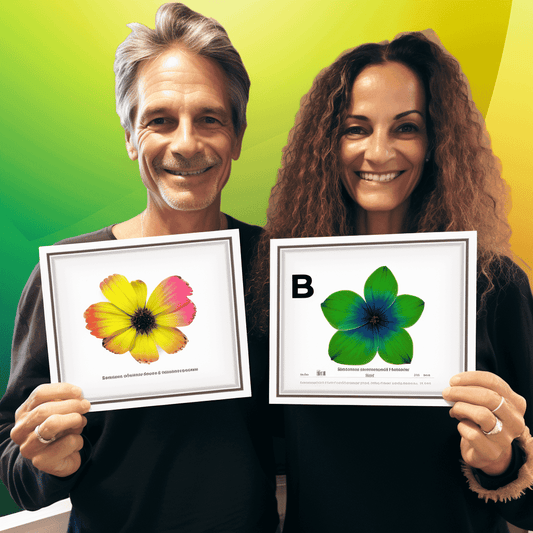 Curso de Dominação de SEO: Edição 2023 com Conteúdo Bônus - IBRATH Instituto Brasileiro de Terapias Holísticas teste031020231007