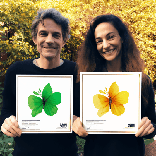 Curso de Planejamento de Continuidade dos Negócios - Compreendendo Riscos e Recompensas - IBRATH Instituto Brasileiro de Terapias Holísticas teste031020231005