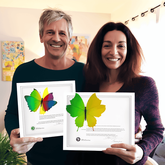 Curso de Curso de negociação - IBRATH Instituto Brasileiro de Terapias Holísticas teste031020231005